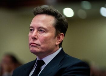 Musk should stay out of politics, US Treasury Secretary Bessent says