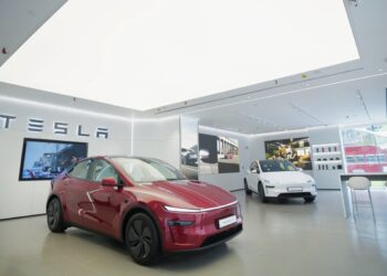 Tesla loses its charm for India’s loyalists — even as Musk finally delivers