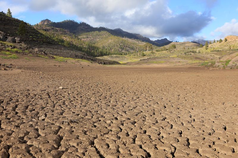 Central banks told to prepare for climate shock to labour market
