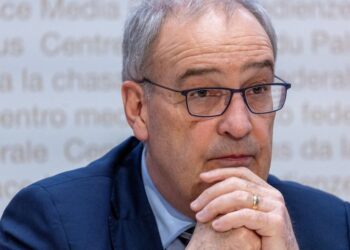 Switzerland could revise offer on Trump tariffs, business minister says