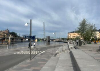 Why Some Swedish AI Tech Investors Welcome A Shakeout