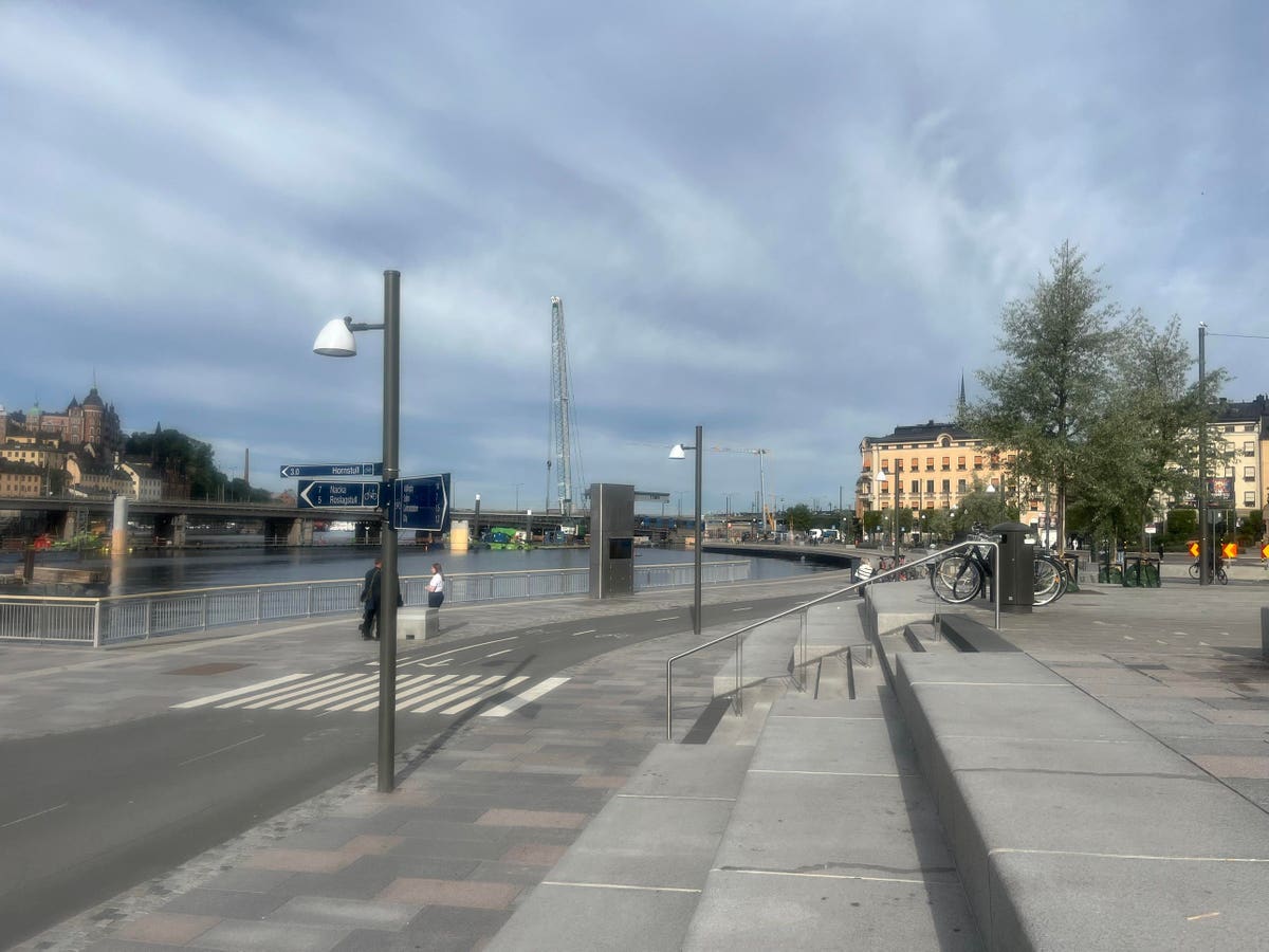 Why Some Swedish AI Tech Investors Welcome A Shakeout