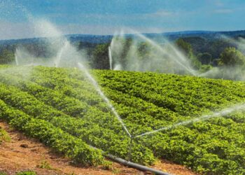 Instacrops will demo its water-saving, crop-boosting AI at TechCrunch Disrupt 2025