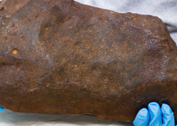 Man Keeps Rock For Years, Hoping It’s Gold. It Turned Out to Be Way More Valuable.