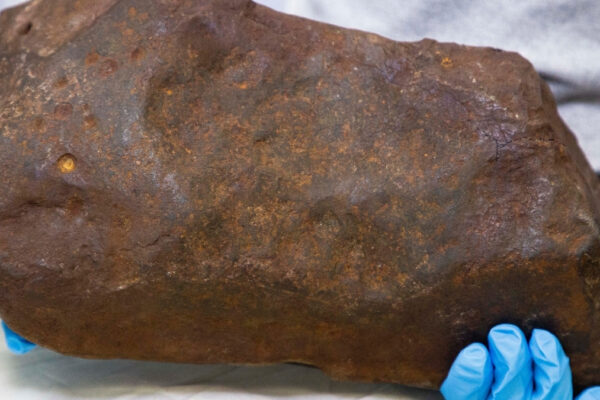 Man Keeps Rock For Years, Hoping It’s Gold. It Turned Out to Be Way More Valuable.