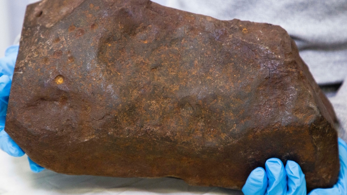 Man Keeps Rock For Years, Hoping It’s Gold. It Turned Out to Be Way More Valuable.