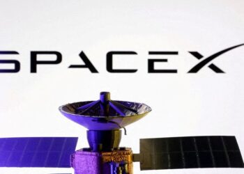 Musk denies $800 billion SpaceX valuation reports