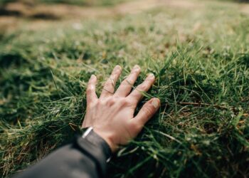 Naware’s chemical-free weed killer tech could change how we treat lawns