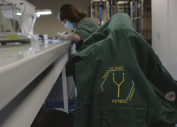 How reality crushed Ÿnsect, the French startup that had raised over $600M for insect farming