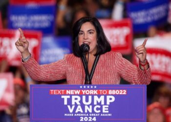 New York City’s only Republican-held congressional district must be redrawn, judge orders