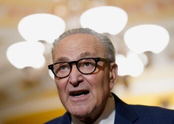 US Senate Democrats demand immigration reforms to avert shutdown
