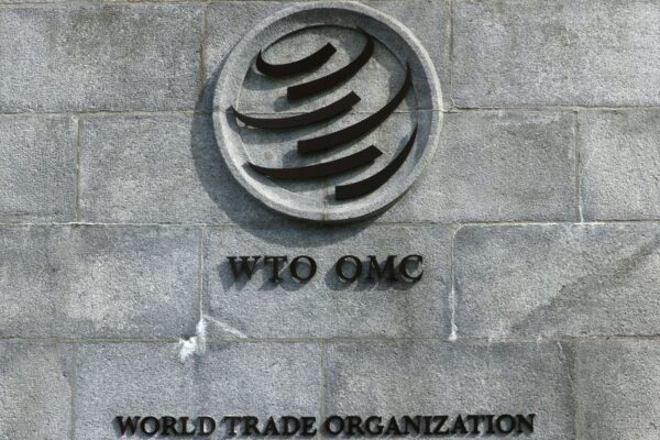 Trade ministers meet in Cameroon for critical WTO reform talks amid deep divisions