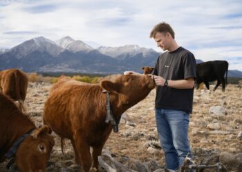 Peter Thiel’s big bet on solar-powered cow collars
