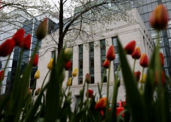 Bank of Canada to hold interest rates this year, show patience with energy inflation: Reuters poll