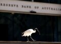 Australia central banker says oil shock yet to slow economy