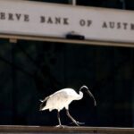 Australia central banker says oil shock yet to slow economy