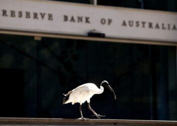 Australia central banker says oil shock yet to slow economy