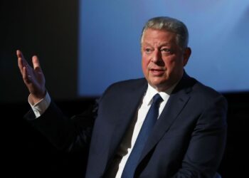 Al Gore has a surprisingly calm take on the AI data center backlash