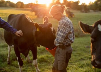Precision Nutrient Tech For Better Meat, Milk And Egg Production