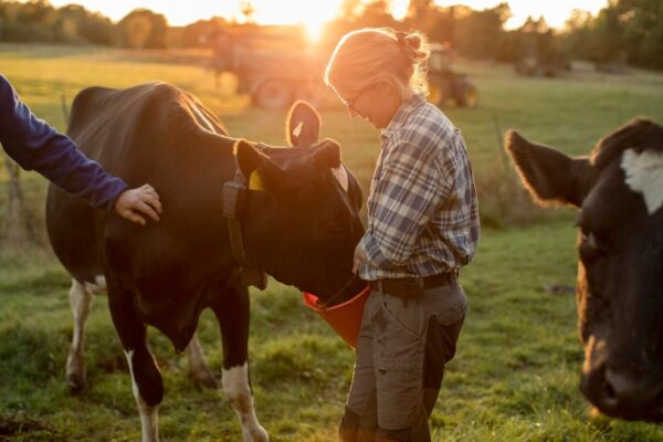 Precision Nutrient Tech For Better Meat, Milk And Egg Production