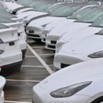 Tesla sustains its EV sales momentum despite US troubles