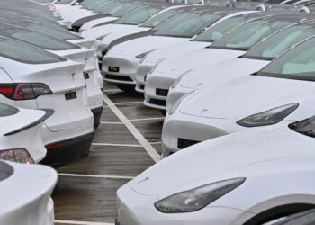 Tesla sustains its EV sales momentum despite US troubles