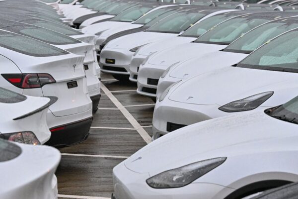 Tesla sustains its EV sales momentum despite US troubles